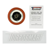 Replacement Piston Suit RacePort PlumBack valves