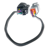LS DBW Adapter Loom