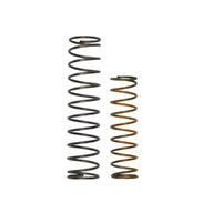 OLD Race Port Spring Kit