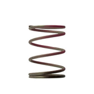 Gen4 IWG WG38/40/45/50L 7PSI OUTER SPRING - BROWN/PINK