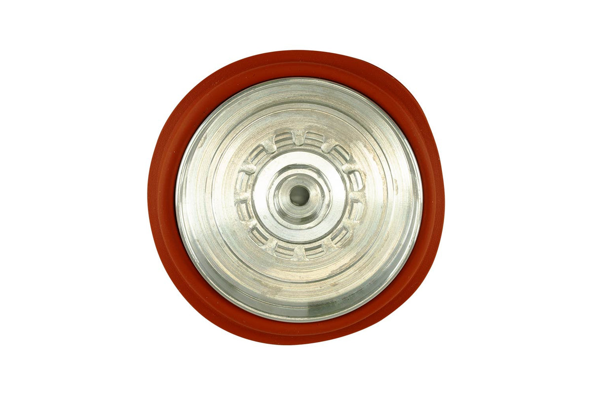 vIWG Diaphragm Replacement