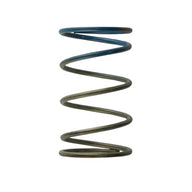 Gen4 IWG WG38/40/45/50L 10PSI OUTER SPRING - BROWN/BLUE