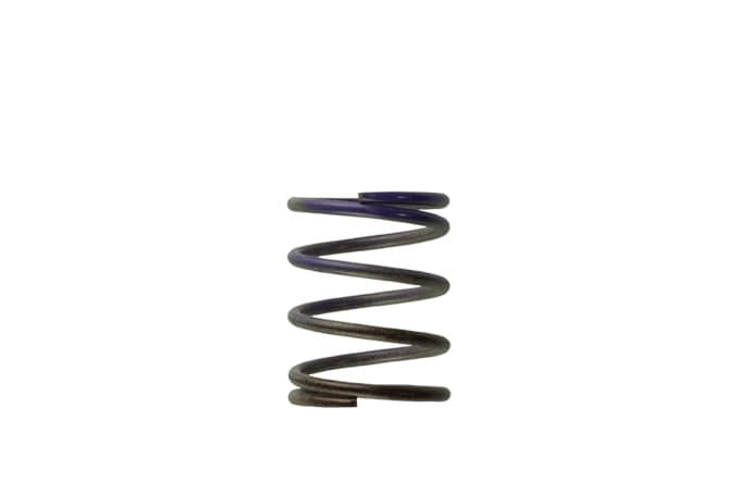 Turbosmart Gen4 / IWG WG38/40/45/50L 7PSI Middle Spring - Brown/Purple